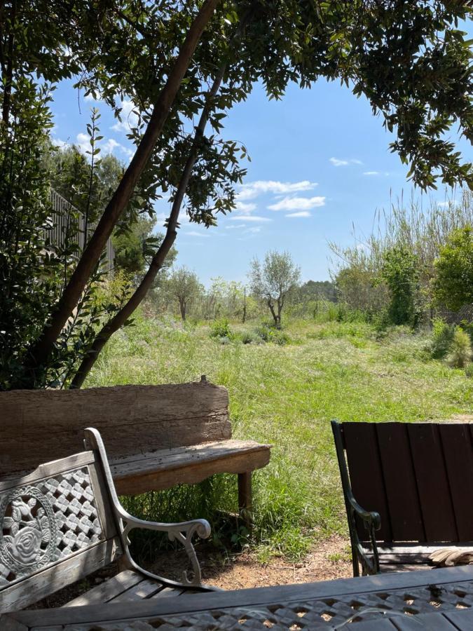 Ardenya Casa Rural Con Jardin,A 8Km Playa Y En La Naturaleza Taronja&Canyella מראה חיצוני תמונה