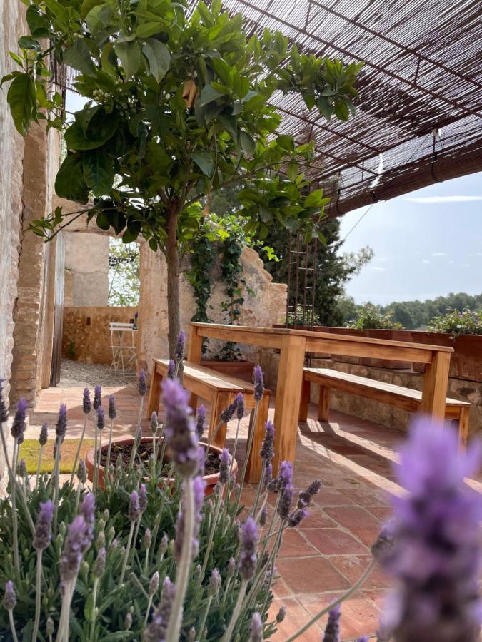 Ardenya Casa Rural Con Jardin,A 8Km Playa Y En La Naturaleza Taronja&Canyella מראה חיצוני תמונה