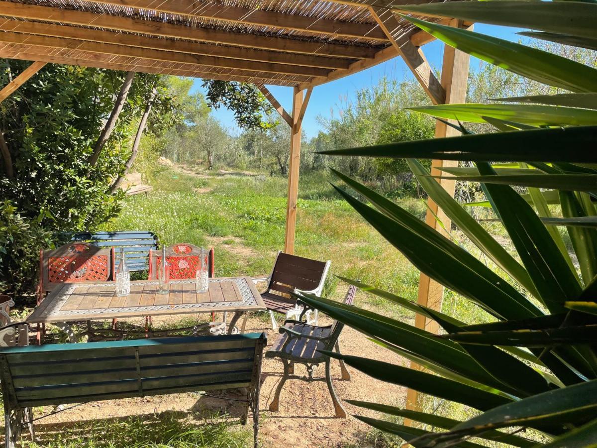 Ardenya Casa Rural Con Jardin,A 8Km Playa Y En La Naturaleza Taronja&Canyella מראה חיצוני תמונה