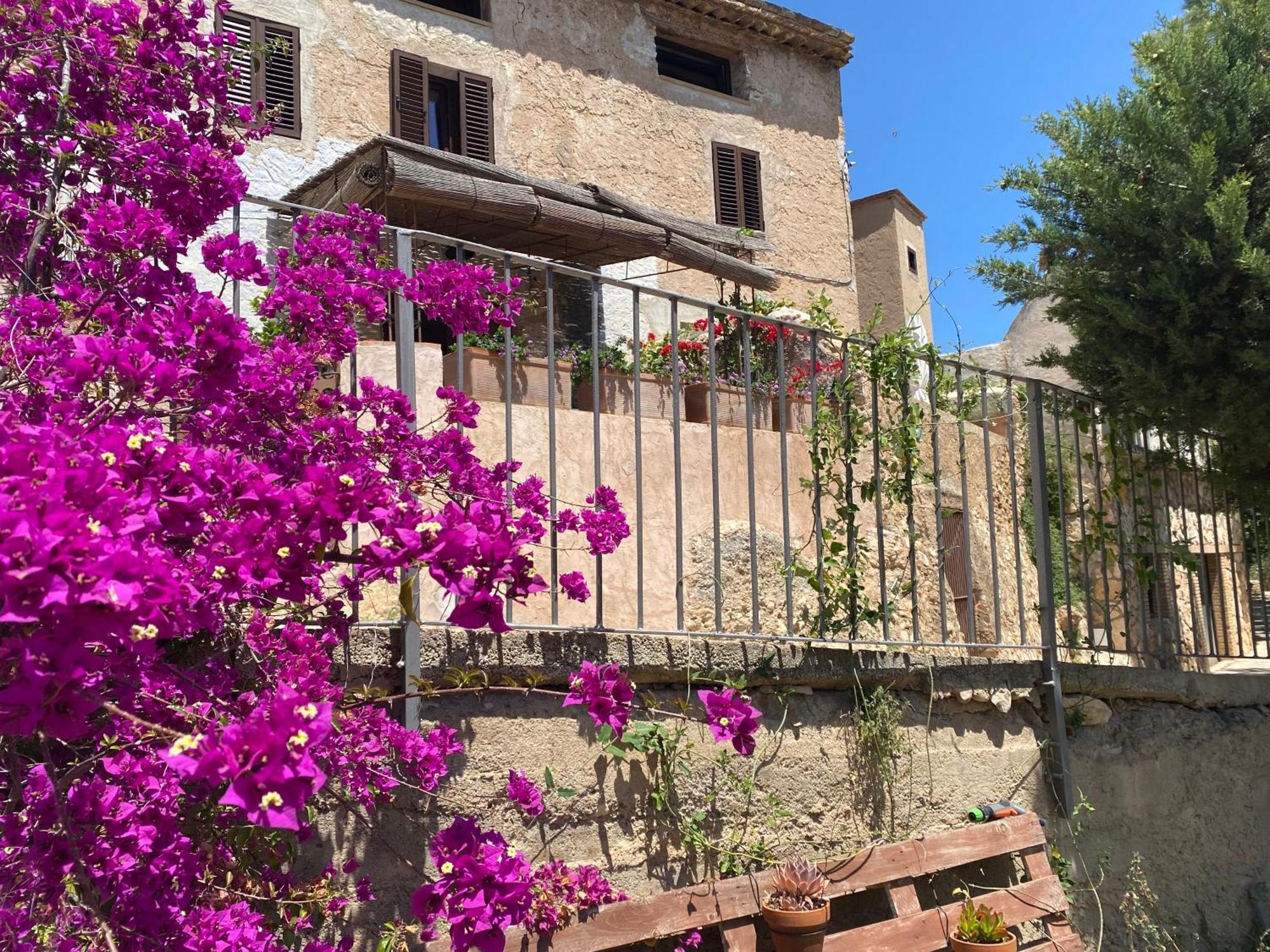 Ardenya Casa Rural Con Jardin,A 8Km Playa Y En La Naturaleza Taronja&Canyella מראה חיצוני תמונה